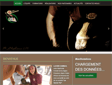 Tablet Screenshot of marechal-ferrant-83.com
